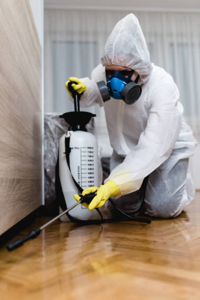 Emergency Pest Control in Richlands, VA